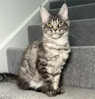 One Girl One Boy Ready To Leave❤️💙